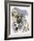 American Staffordshire Terrier-Barbara Keith-Framed Giclee Print