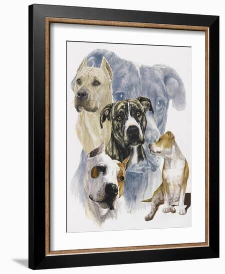 American Staffordshire Terrier-Barbara Keith-Framed Giclee Print