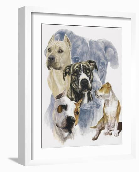 American Staffordshire Terrier-Barbara Keith-Framed Giclee Print