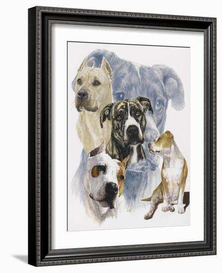 American Staffordshire Terrier-Barbara Keith-Framed Giclee Print