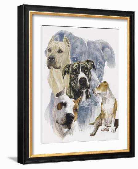 American Staffordshire Terrier-Barbara Keith-Framed Giclee Print