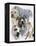 American Staffordshire Terrier-Barbara Keith-Framed Premier Image Canvas