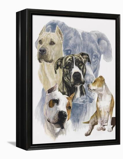 American Staffordshire Terrier-Barbara Keith-Framed Premier Image Canvas