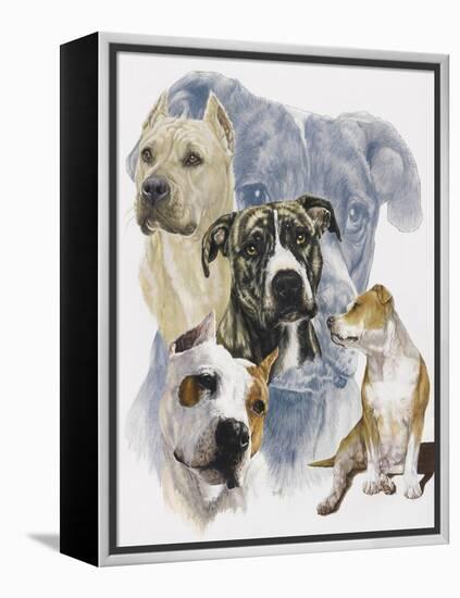 American Staffordshire Terrier-Barbara Keith-Framed Premier Image Canvas