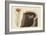 American Swallow-Mark Catesby-Framed Premium Giclee Print