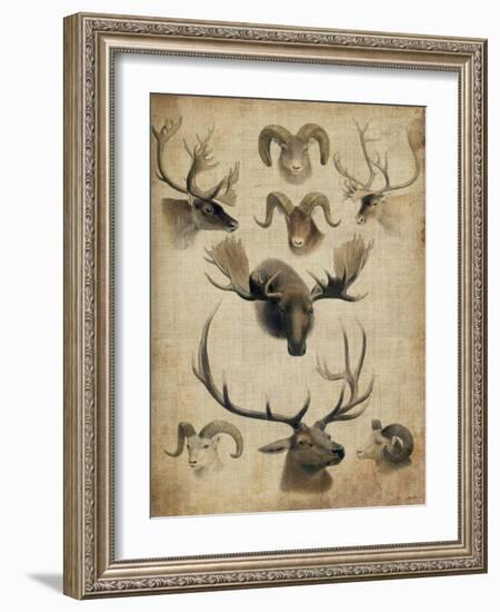 American Trophy I-John Butler-Framed Art Print