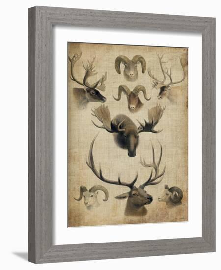 American Trophy I-John Butler-Framed Art Print