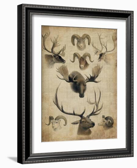 American Trophy I-John Butler-Framed Art Print