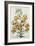 American Turkscap Lily, C.1740-Georg Dionysius Ehret-Framed Giclee Print