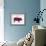 American US Cuts of Pork-robuart-Framed Art Print displayed on a wall