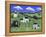 American Village-Cheryl Bartley-Framed Premier Image Canvas