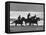 American Visitors Enoying Horseback Riding on Rosarita Beach-Allan Grant-Framed Premier Image Canvas