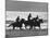 American Visitors Enoying Horseback Riding on Rosarita Beach-Allan Grant-Mounted Photographic Print