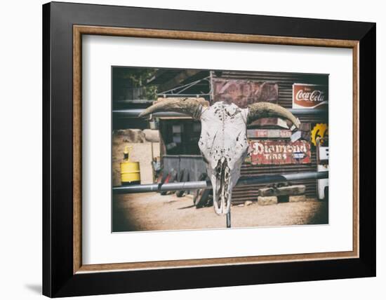 American West - Cow Skulls 66-Philippe Hugonnard-Framed Photographic Print