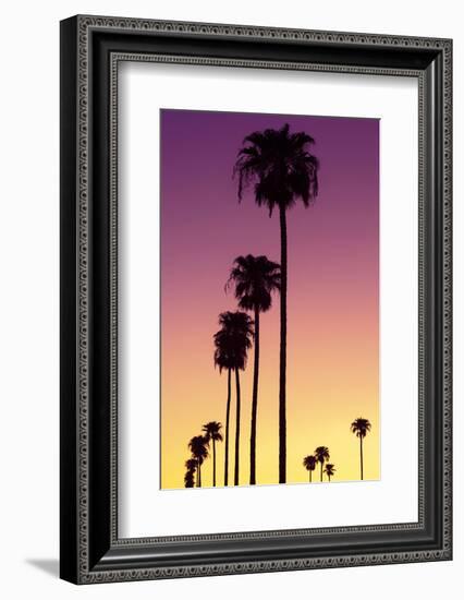 American West - Sunset Palm Trees-Philippe Hugonnard-Framed Photographic Print