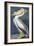 American White Pelican, Pelecanus Erythrorhynchos, from the Birds of America by John J. Audubon, Pu-John James Audubon-Framed Giclee Print