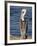 American White Pelican, Sonny Bono Salton Sea National Wildlife Refuge-James Hager-Framed Photographic Print