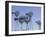 American Wind Power Center, Lubbock, Texas-Walter Bibikow-Framed Photographic Print