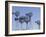 American Wind Power Center, Lubbock, Texas-Walter Bibikow-Framed Photographic Print