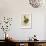 American Wych Hazel, Fothergilla Gardenii (Broad-Leaved Fothergilla, Fothergilla Alnifolia Major)-Sydenham Teast Edwards-Framed Giclee Print displayed on a wall