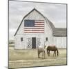 Americana Barn - Horse-Mark Chandon-Mounted Giclee Print