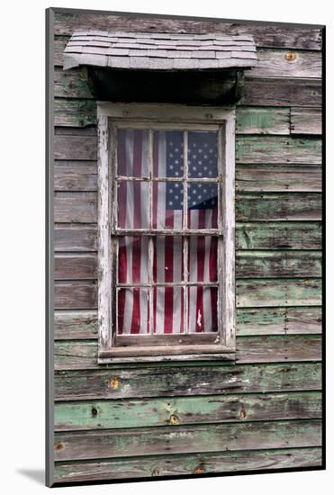 Americana Flag-Steven Maxx-Mounted Photographic Print