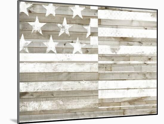 Americana Flag-Studio W-Mounted Art Print