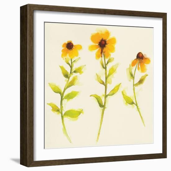 Americana Meadow Element I-Shirley Novak-Framed Art Print