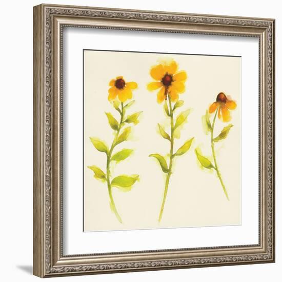 Americana Meadow Element I-Shirley Novak-Framed Art Print