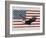 Americana Patriot - Eagle-Mark Chandon-Framed Giclee Print