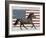 Americana Patriot - Stallion-Mark Chandon-Framed Giclee Print