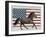 Americana Patriot - Stallion-Mark Chandon-Framed Giclee Print