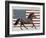 Americana Patriot - Stallion-Mark Chandon-Framed Giclee Print