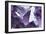 Amethyst Crystals-Lawrence Lawry-Framed Photographic Print