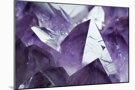 Amethyst Crystals-Lawrence Lawry-Mounted Photographic Print