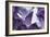 Amethyst Crystals-Lawrence Lawry-Framed Photographic Print