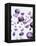 Amethyst Gemstones-Lawrence Lawry-Framed Premier Image Canvas