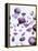 Amethyst Gemstones-Lawrence Lawry-Framed Premier Image Canvas