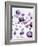 Amethyst Gemstones-Lawrence Lawry-Framed Photographic Print