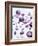 Amethyst Gemstones-Lawrence Lawry-Framed Photographic Print