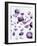 Amethyst Gemstones-Lawrence Lawry-Framed Photographic Print