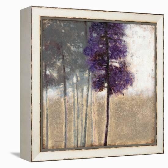 Amethyst Grove 1-Norman Wyatt Jr.-Framed Stretched Canvas