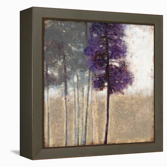 Amethyst Grove 1-Norman Wyatt Jr.-Framed Stretched Canvas