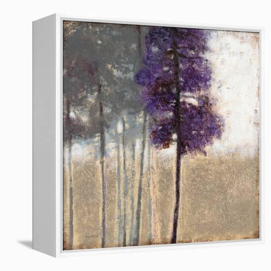 Amethyst Grove 1-Norman Wyatt Jr.-Framed Stretched Canvas