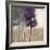 Amethyst Grove 1-Norman Wyatt Jr.-Framed Art Print