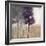 Amethyst Grove 1-Norman Wyatt Jr.-Framed Art Print