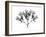 Amethyst Vine-Albert Koetsier-Framed Art Print