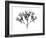 Amethyst Vine-Albert Koetsier-Framed Art Print