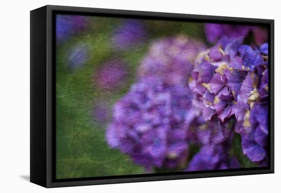 Amethyst-Viviane Fedieu Daniel-Framed Premier Image Canvas