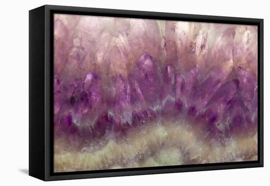 Amethyst-Darrell Gulin-Framed Premier Image Canvas